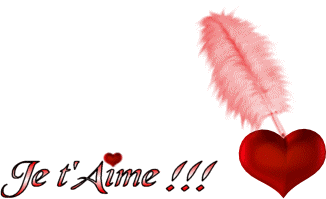amour